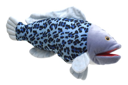 (image for) HALF SPOTTED HAWKFISH PUPPET